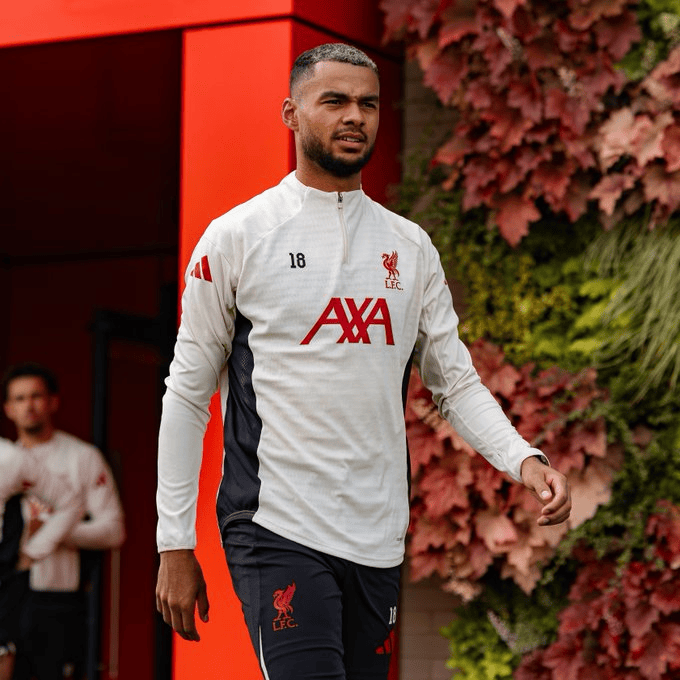 成效的季前, 机会, 势基调