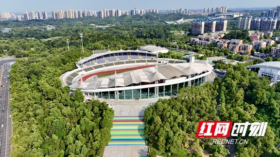 场馆设有 场馆设有